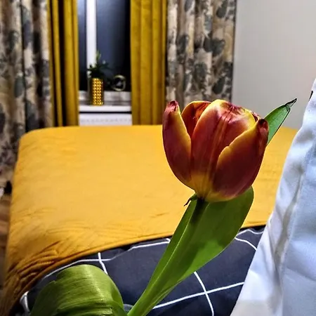 Appartement Evitadelux Slowackiego 50mgaleria