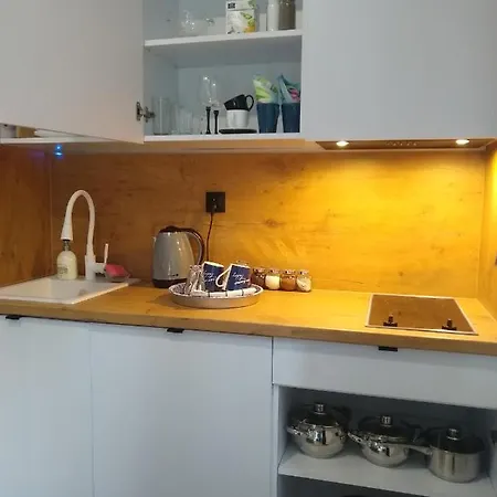 Evitadelux Slowackiego 50mgaleria Apartment *