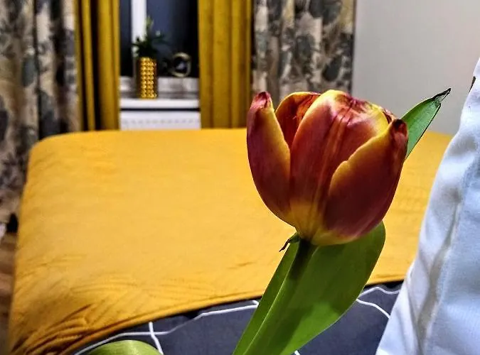 דירה Evitadelux Slowackiego 50mgaleria