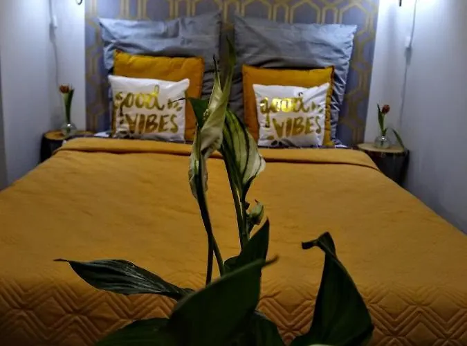 Evitadelux Slowackiego 50mgaleria