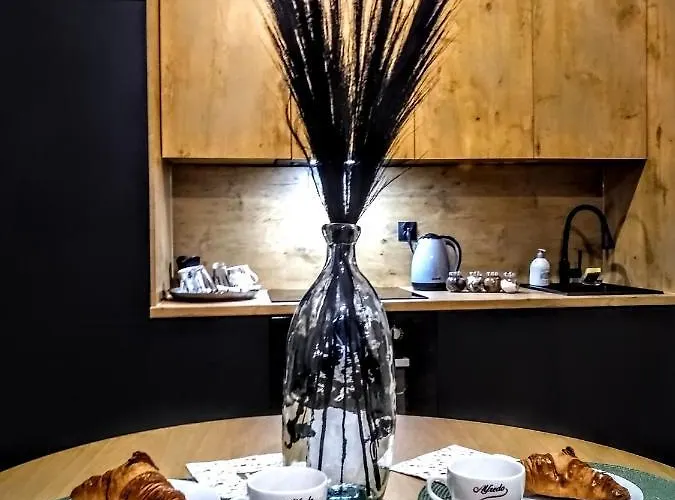 公寓 Evitadelux Slowackiego 50mgaleria 卡托维兹