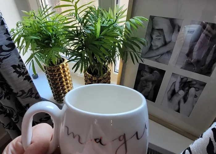 公寓 Evitadelux Slowackiego 50mgaleria