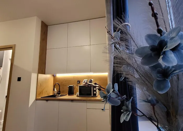 公寓 Evitadelux Slowackiego 50mgaleria *