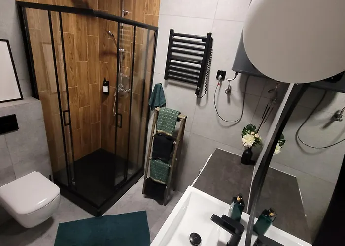 公寓 Evitadelux Slowackiego 50mgaleria 卡托维兹